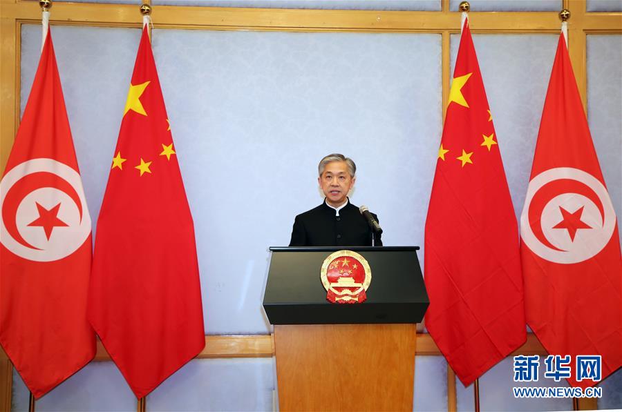 (XHDW·圖文互動)(2)五湖迎亥歲 四海賀新春——我駐外使領館舉辦新春招待會喜迎農歷新年