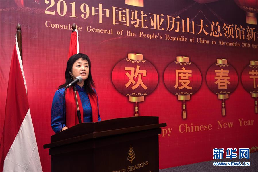 (XHDW·圖文互動)(3)五湖迎亥歲 四海賀新春——我駐外使領館舉辦新春招待會喜迎農歷新年