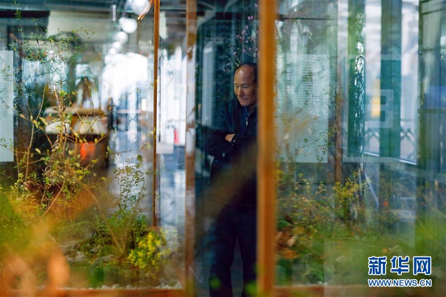 (國際·圖文互動)(4)通訊:敲響半島和平鐘聲——走訪韓朝非軍事區(qū)首爾藝術展