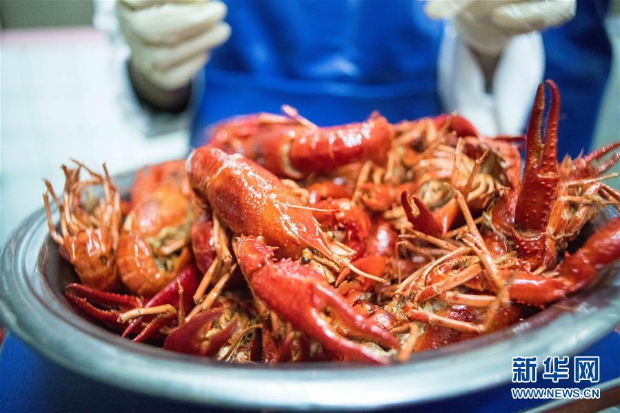 (國(guó)際·圖文互動(dòng))(1)從尼羅河畔到中國(guó)餐桌——一只“洋”小龍蝦的36小時(shí)旅程