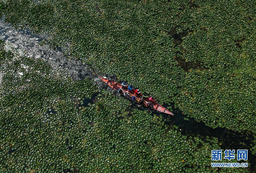 （國(guó)際·年終報(bào)道）（8）2019，精“彩”紛呈