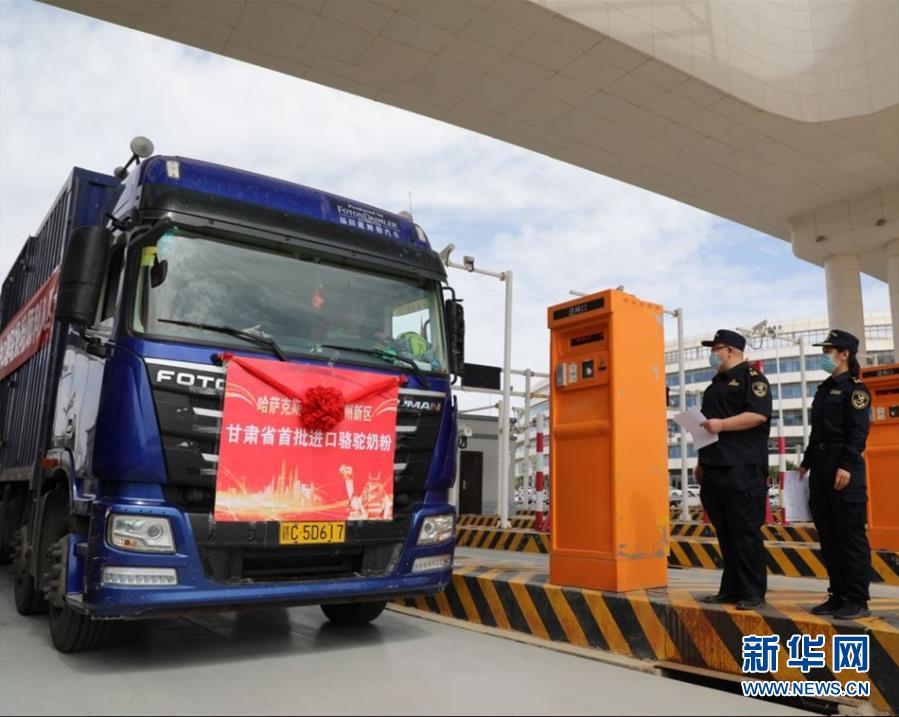 (國(guó)際·圖文互動(dòng))(7)從“先遣隊(duì)”到“正規(guī)軍”——哈薩克斯坦駱駝奶粉入華記