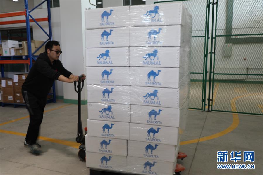 (國(guó)際·圖文互動(dòng))(8)從“先遣隊(duì)”到“正規(guī)軍”——哈薩克斯坦駱駝奶粉入華記