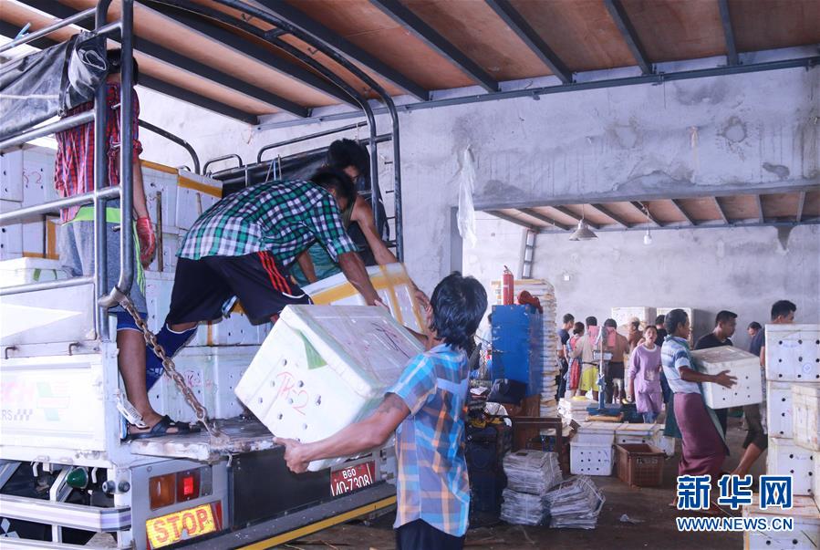 （新華全媒頭條&middot;圖文互動）（7）中國&mdash;東盟自貿區：&ldquo;黃金十年&rdquo;塑造世界經貿新格局