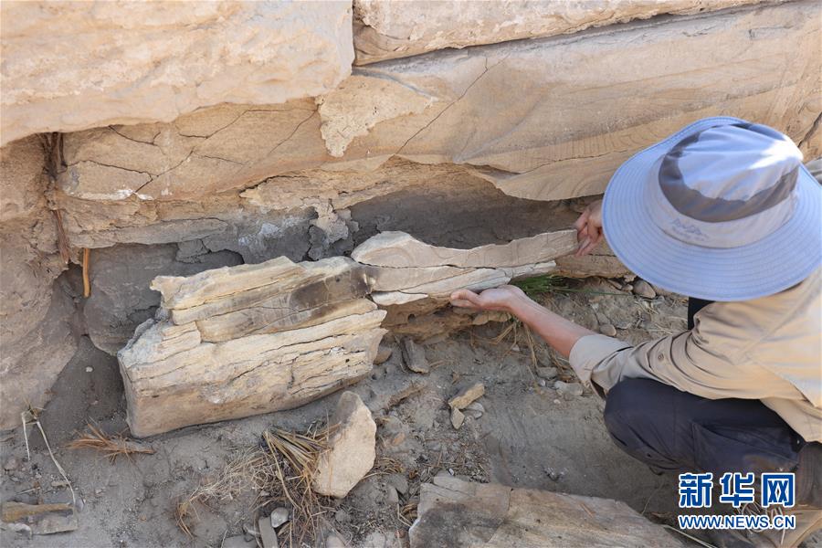 (國際·圖文互動)(8)疫中考古——中國與埃及首次聯合考古取得階段性成果