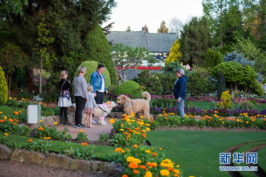 (XHDW·圖文互動(dòng))(3)通訊:“無(wú)處不在的鮮花為我們帶來歡樂和希望”——“小人國(guó)”里的堪培拉花展