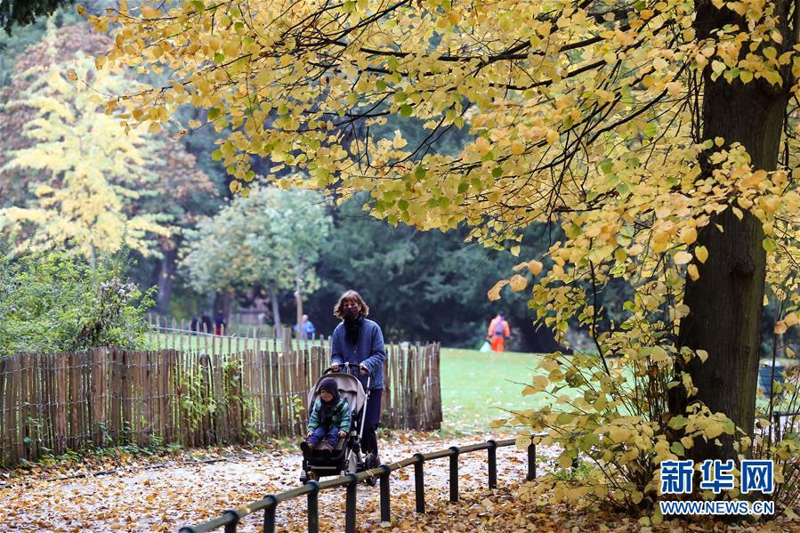 (國際疫情)(1)世衛組織:全球日增新冠確診病例數再創新高