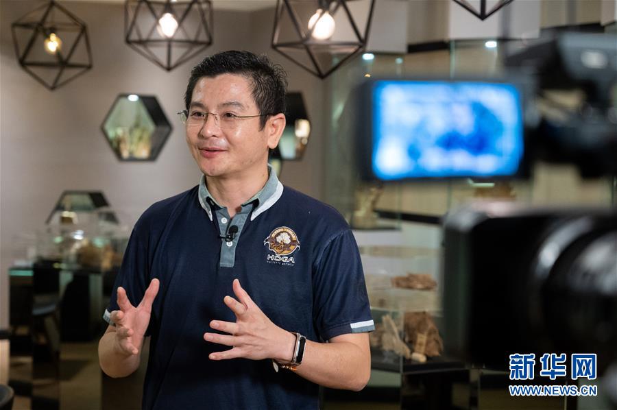 (第三屆進博會·圖文互動)(8)專訪:進博會提供了一個共享中國發展機遇的平臺