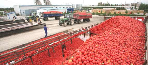 中國推動構建共贏、互信、發展的新絲綢之路