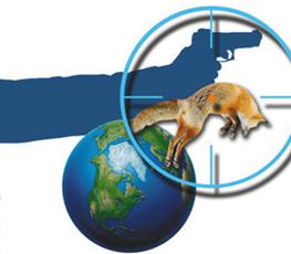 中國全球“獵狐”戰果豐碩！