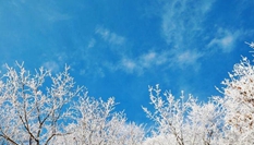 湖北?？蹈呱届F凇美如畫