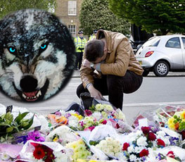 血案頻發 "獨狼"緣何兇猛？